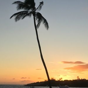 Meet your Posher, Binal